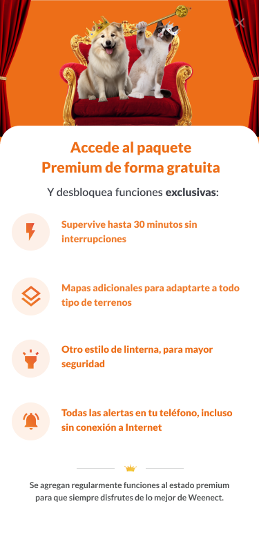 Premium ES.png